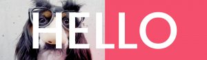 hello